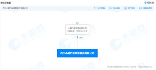 小鵬汽車新設銷售服務公司，注冊資本1000萬并涉足域名注冊服務