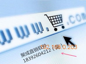 聚成網絡熱門直銷系統軟件開發與海南市場供應分析