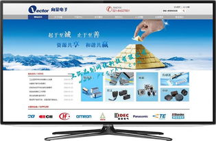 閔行網(wǎng)站建設(shè)與網(wǎng)絡(luò)開發(fā) 打造專業(yè)、高效的在線平臺(tái)